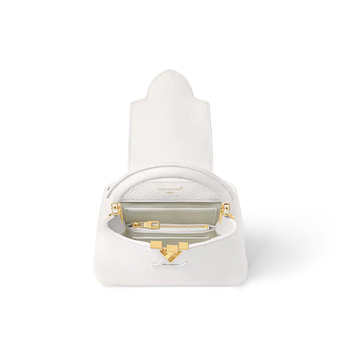 LV Capucines Mini With Box